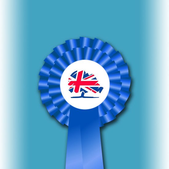 Conservative Party Two Tier Rosette