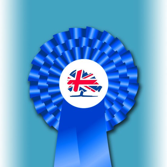 Conservative Party Three Tier Rosette